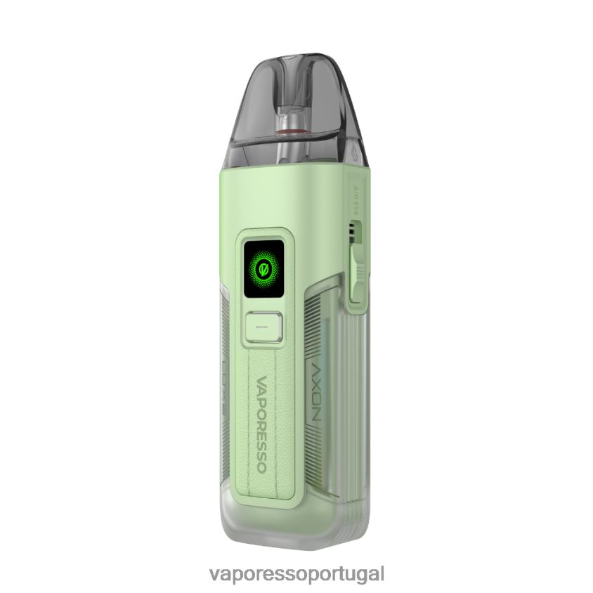 abacate verde